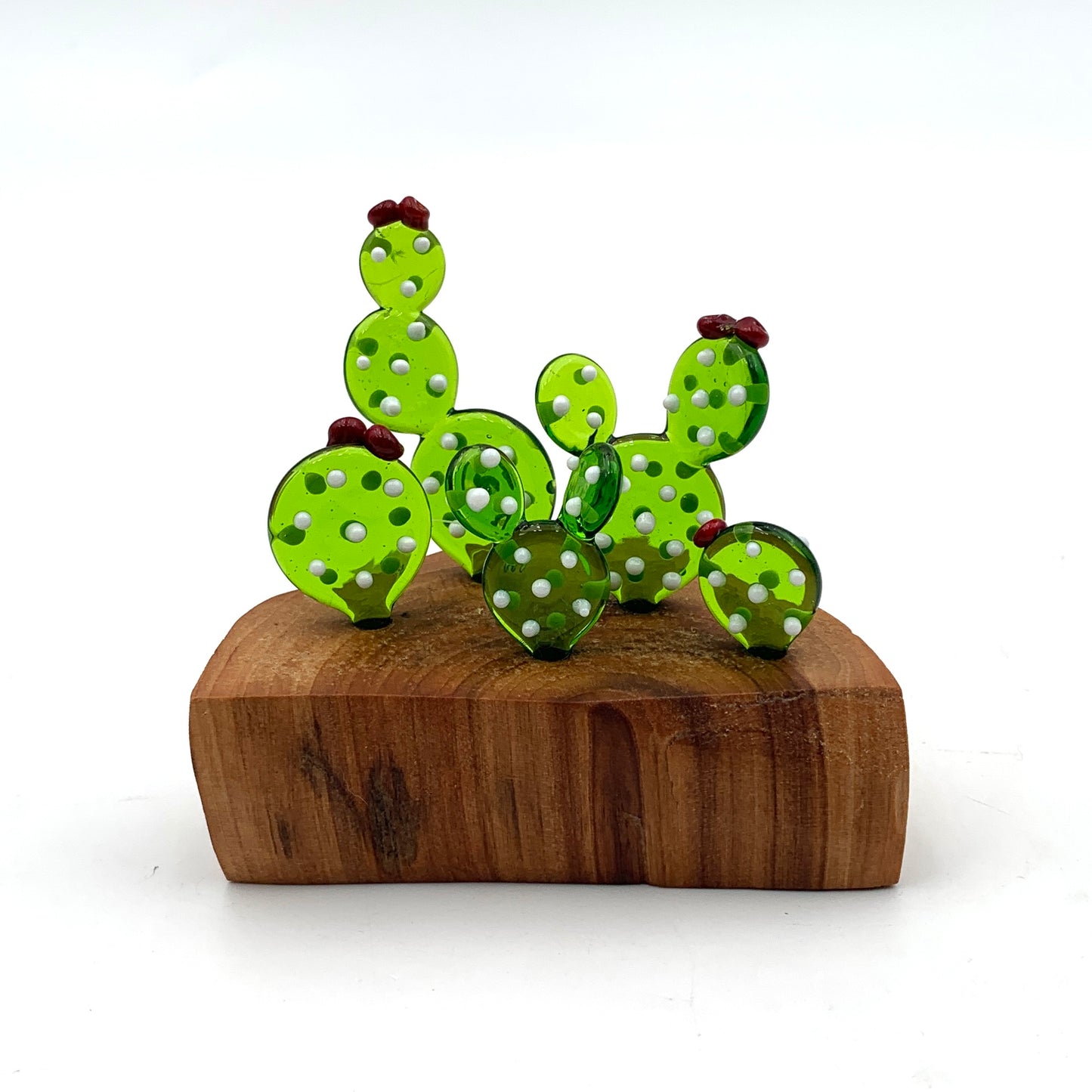 Cactus 5 pc.
