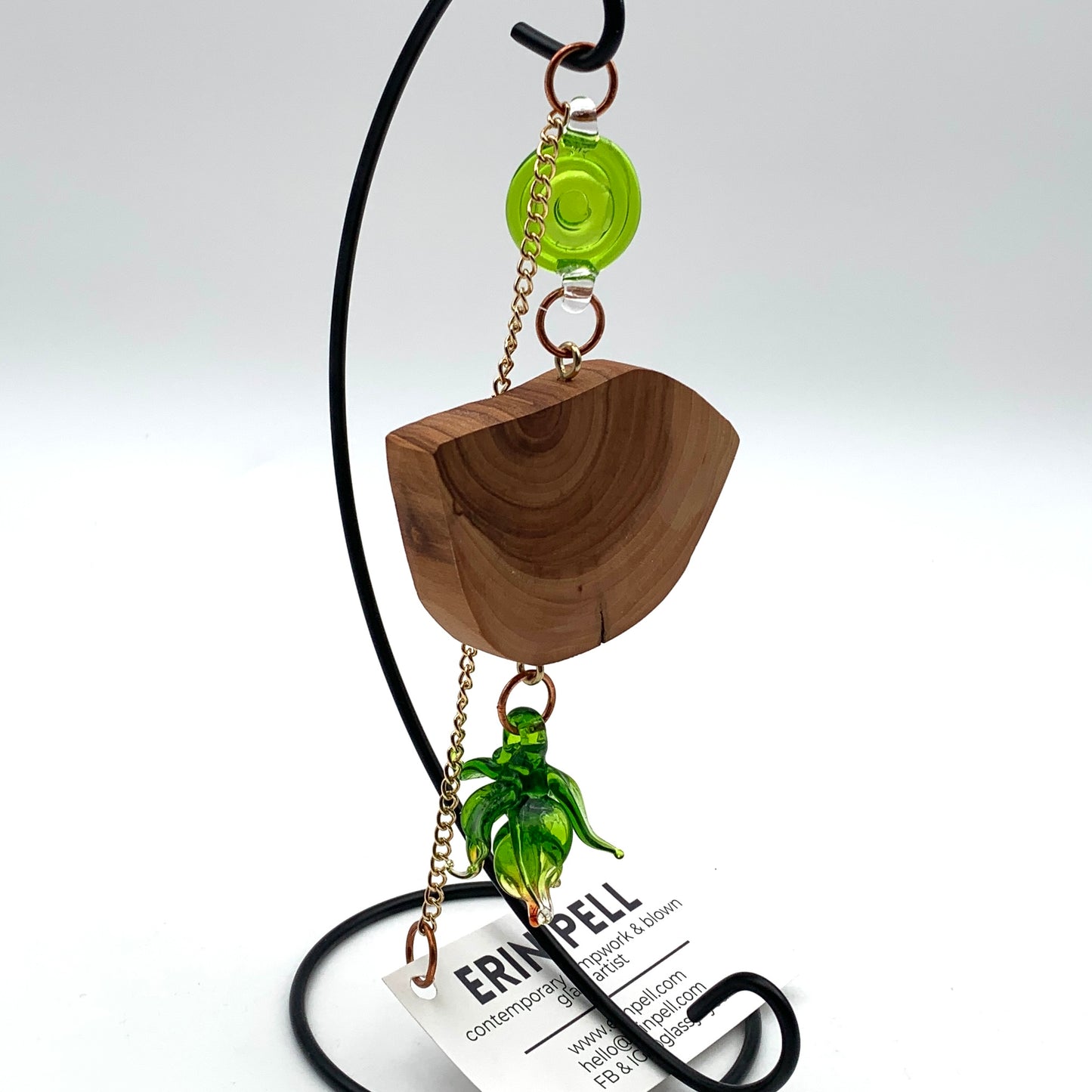 Air plant Suncatcher