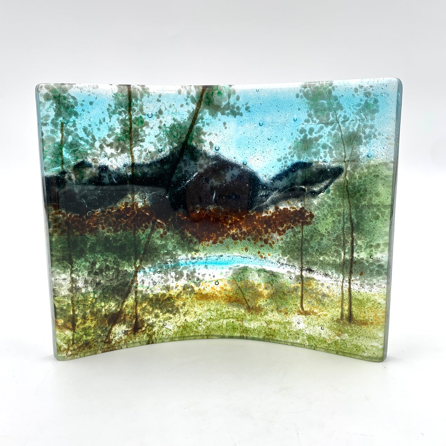 Mountain View 11-488