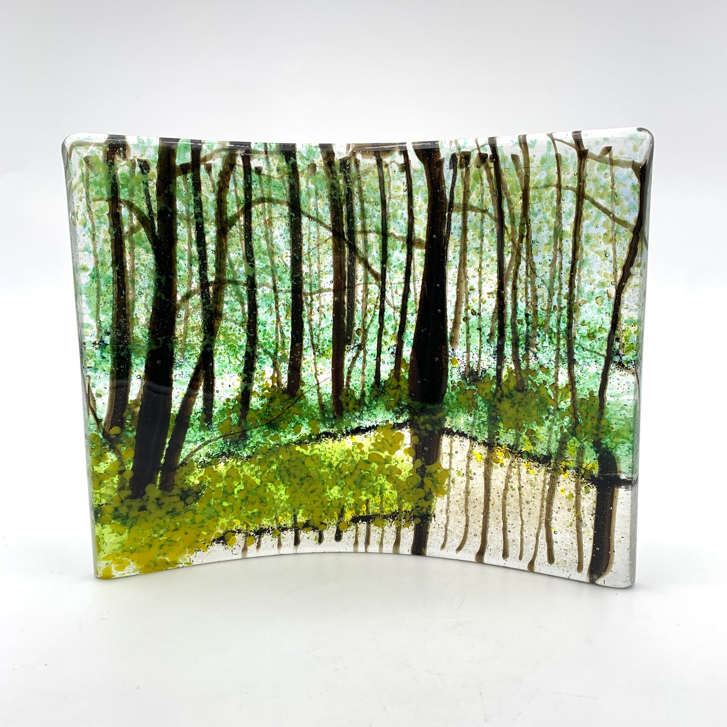 Spring Reflections 14-1054