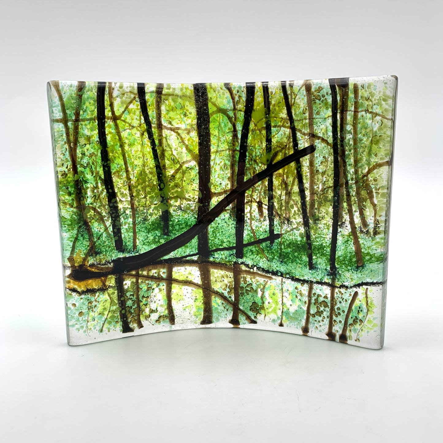 Summer Reflections 17-1101