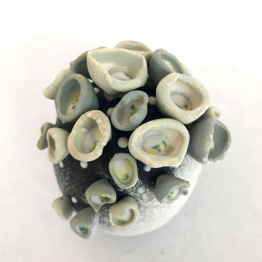 Egg Series Variation: Blue Lichen and Charcoal