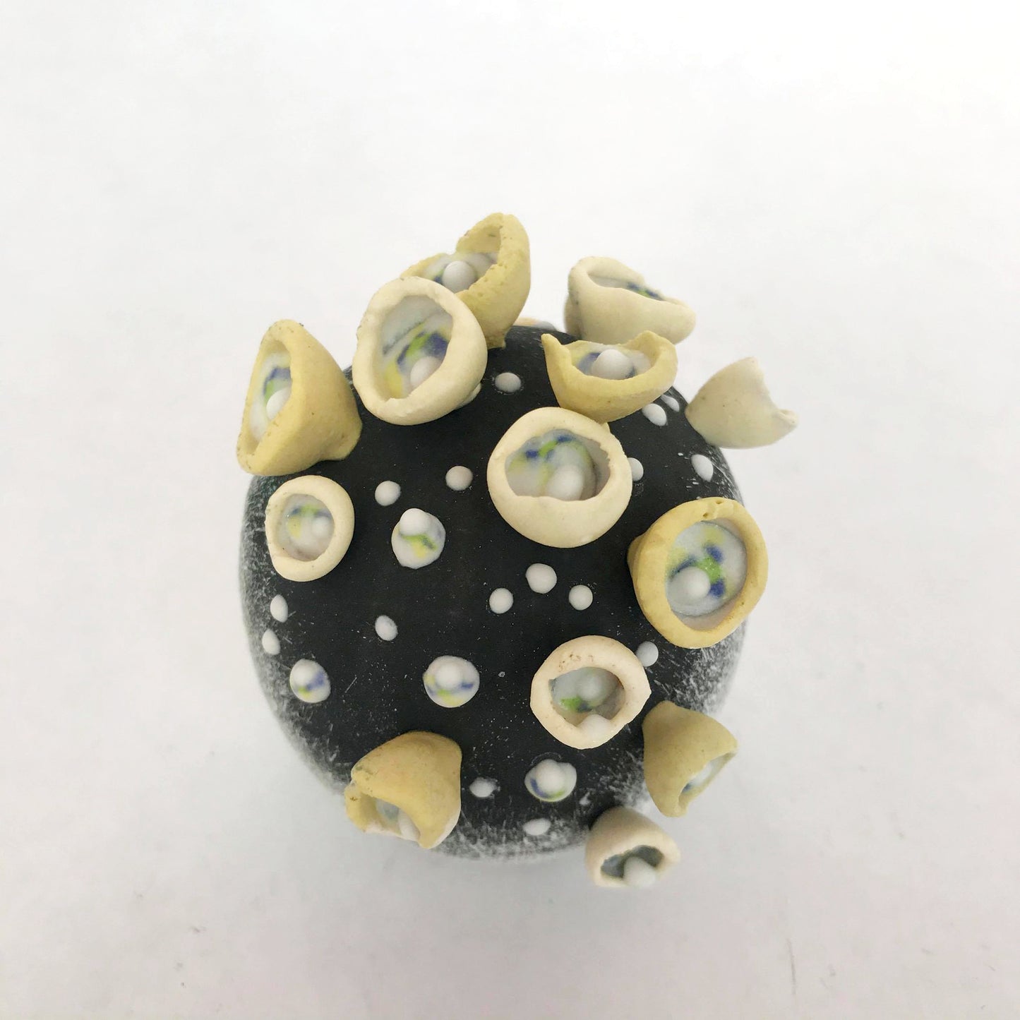 Egg Series Variation: Yellow and Charcoal