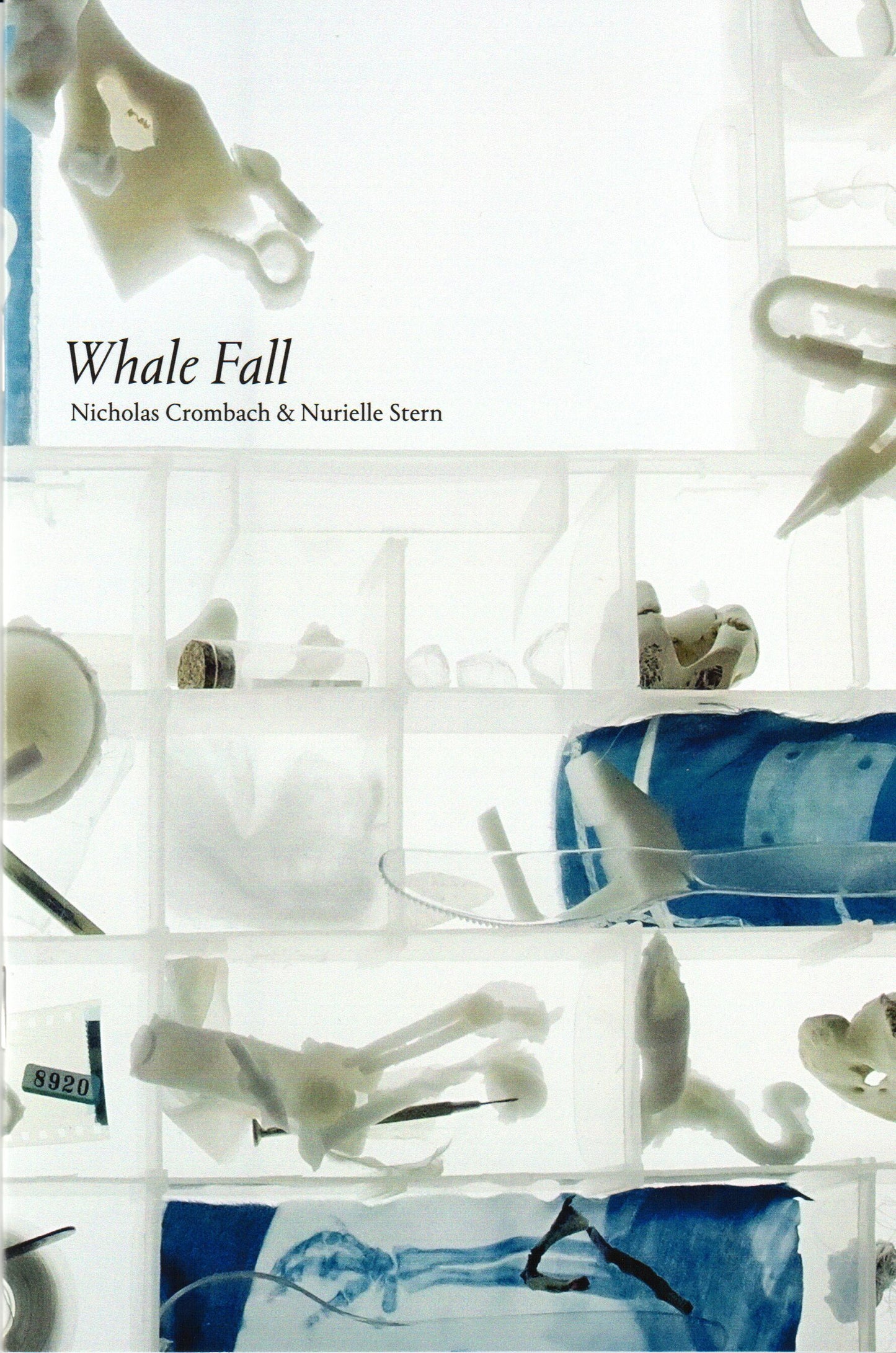 Whale Fall