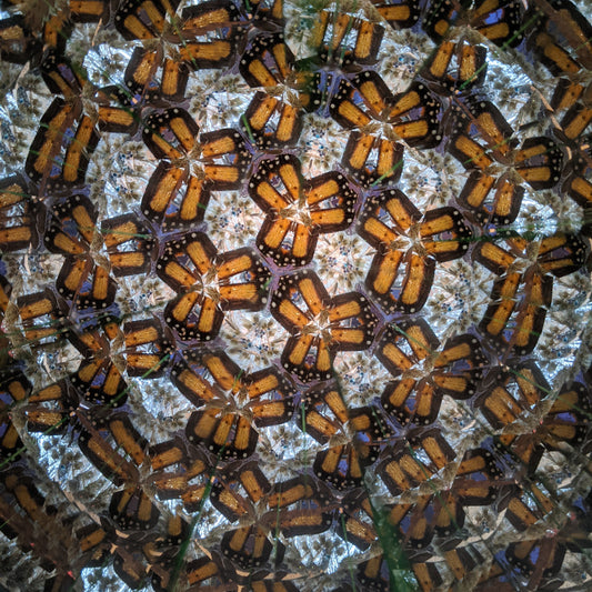 Naturescope Kaleidoscope