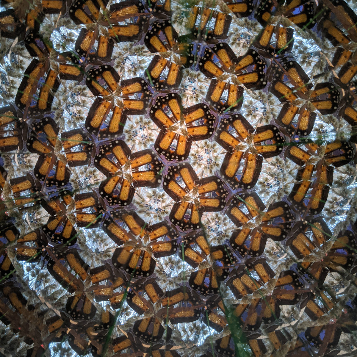 Naturescope Kaleidoscope