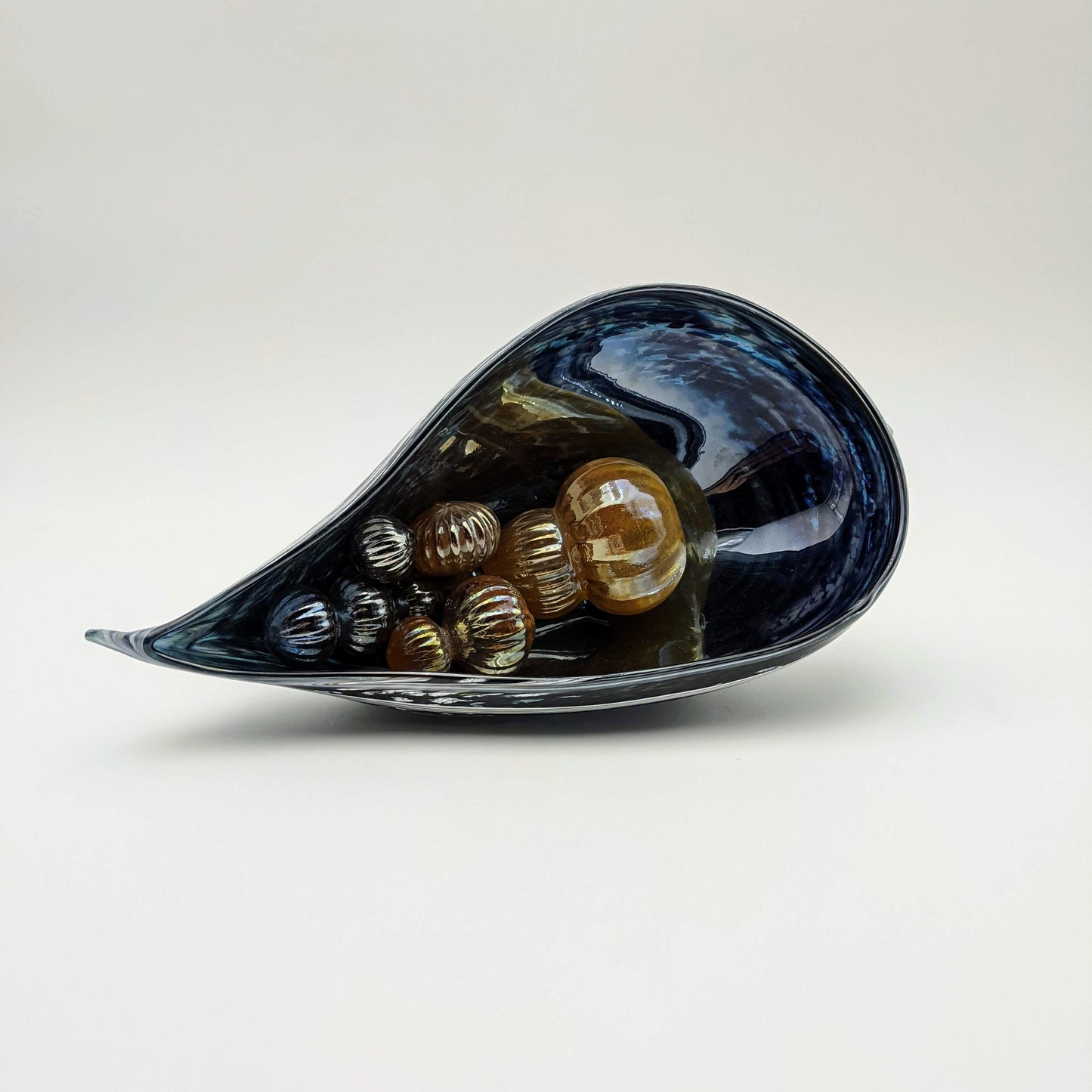 Mussel Shell