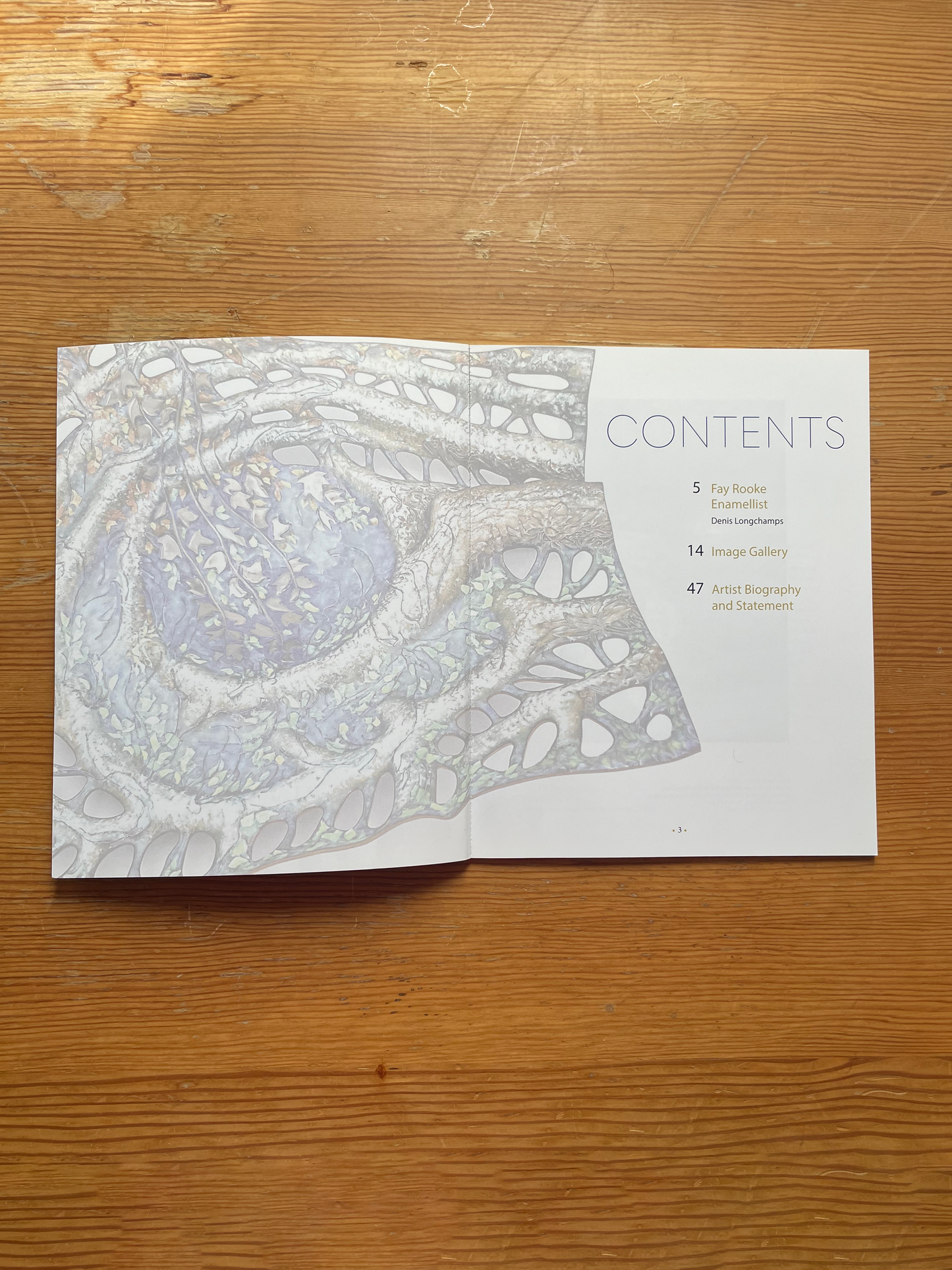 Fay Rooke Enamellist