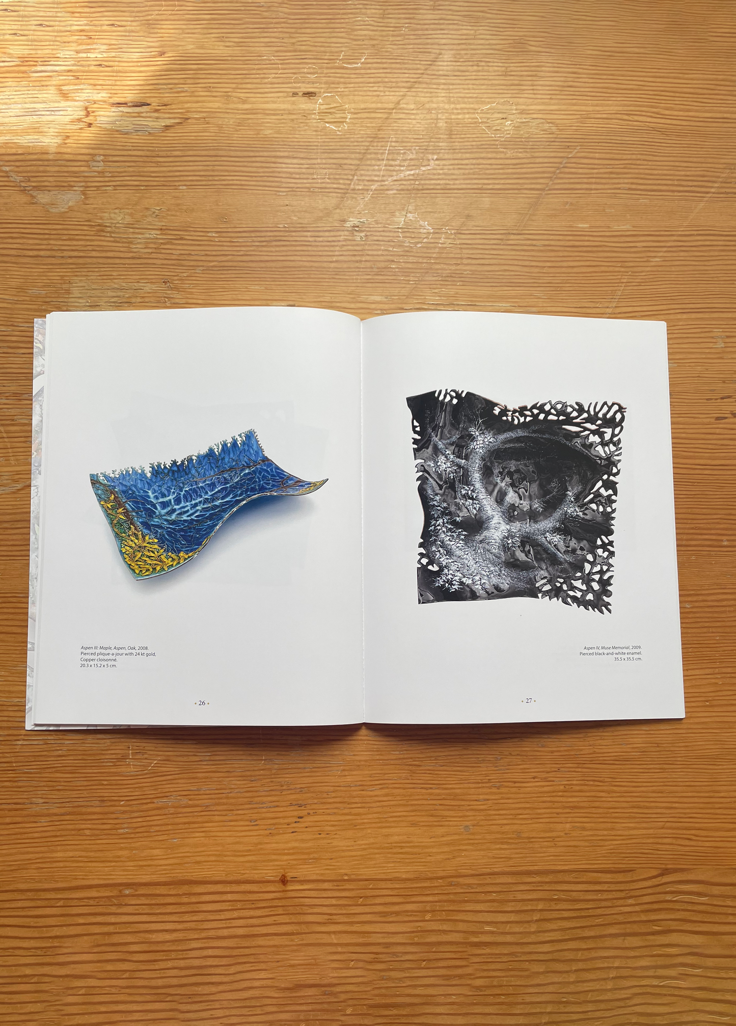 Fay Rooke Enamellist