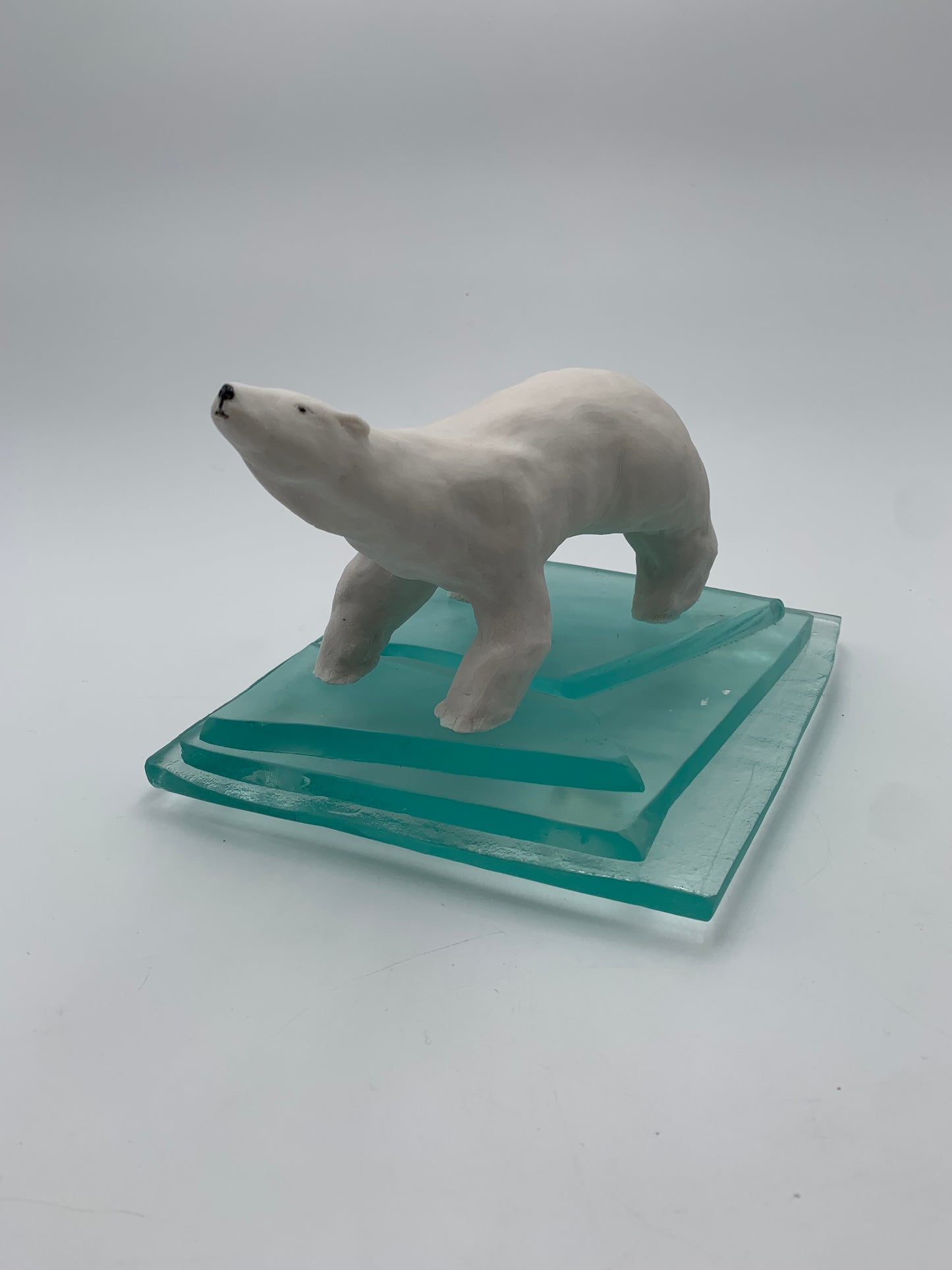 Polar Bear on Ice #170