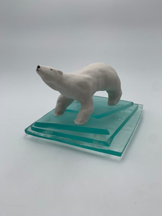 Polar Bear on Ice #170