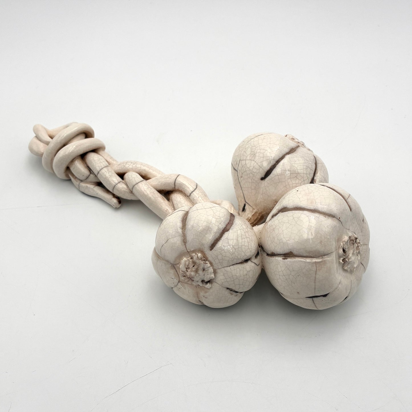 Garlic Bunch #203