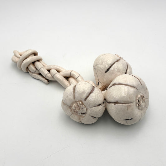 Garlic Bunch #203