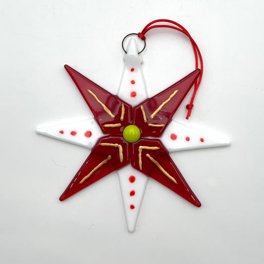 Painted Star Ornament