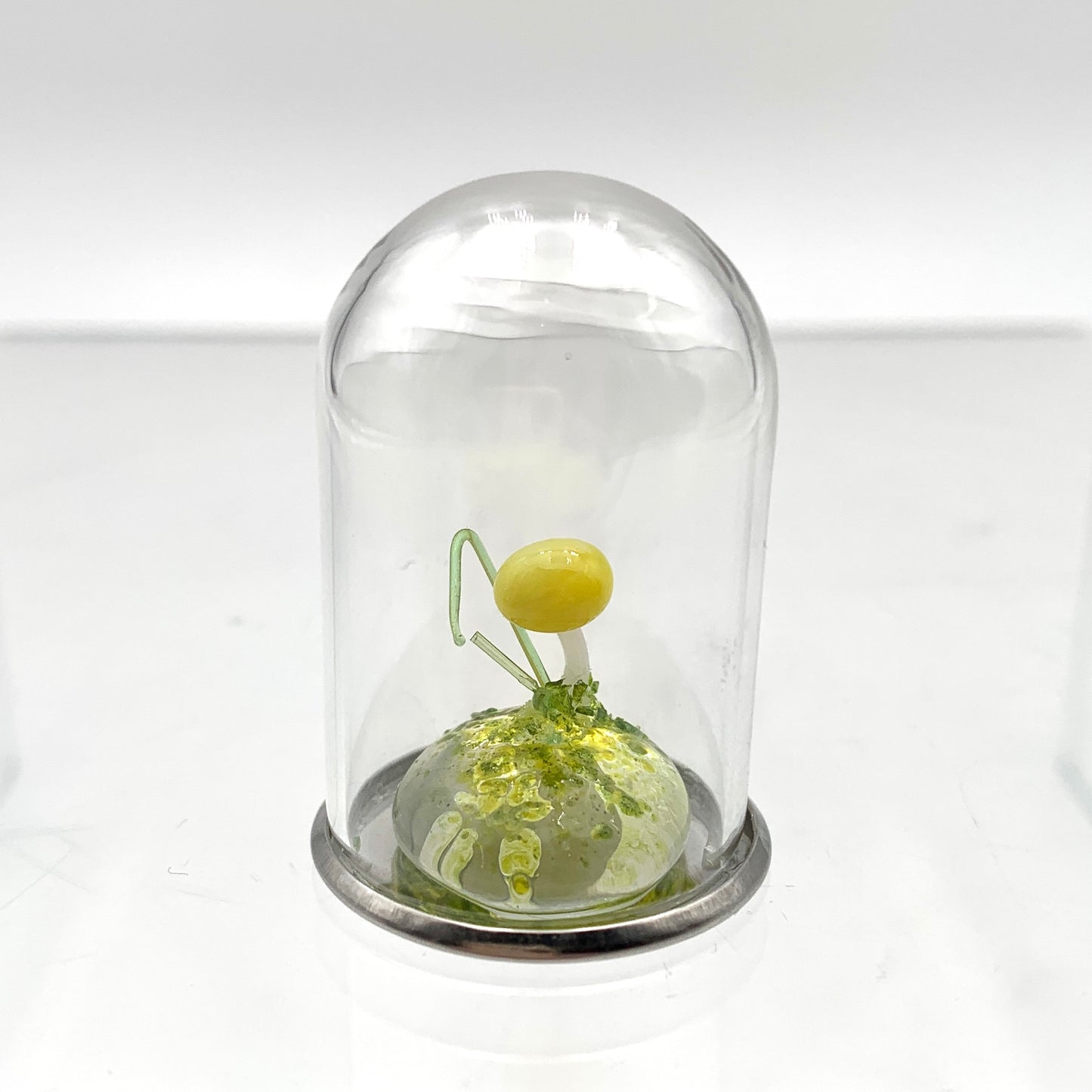Mini Glass snail and mushroom